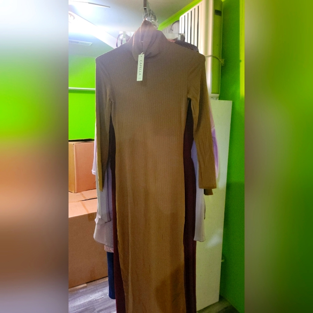 Turtleneck slim dress